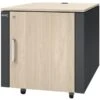 APC Netshelter CX AR4000MVA, IT-Schrank