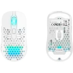 CHERRY Xtrfy M42 RGB Wireless, Gaming-Maus 12 CHERRY Xtrfy M42 RGB Wireless, Gaming-Maus -Digitu Computer Geschaft CHERRY Xtrfy M42 RGB Wireless Gaming Maus@@100014416 5
