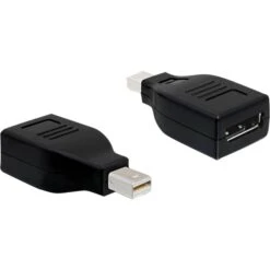 DeLOCK Adapter DisplayPort Mini Auf DisplayPort