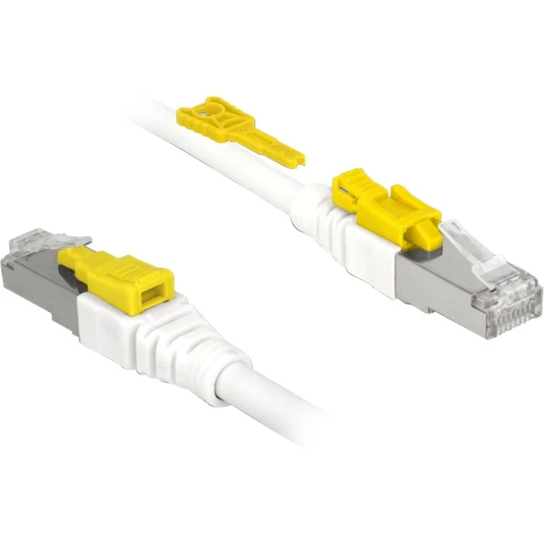 DeLOCK Patchkabel RJ45 Secure Cat.6a S/STP 1 DeLOCK Patchkabel RJ45 Secure Cat.6a S/STP
